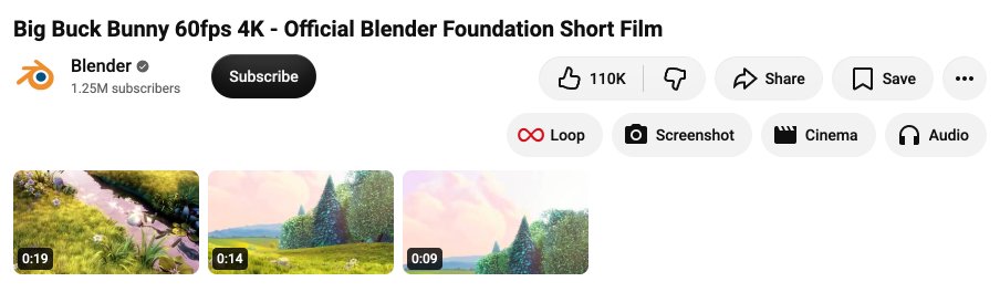 Screenshots listed under the video
