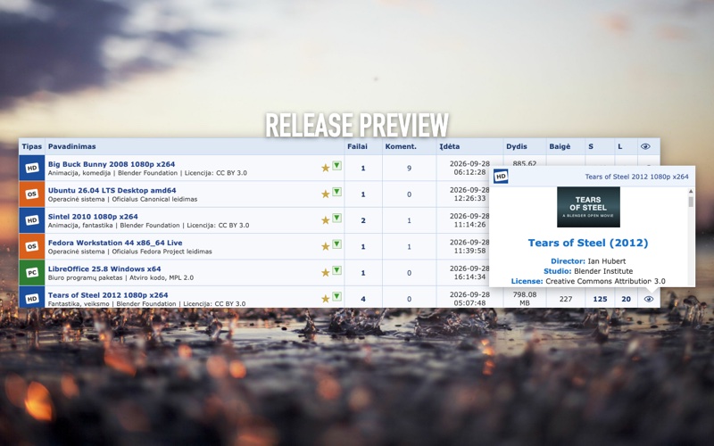 Release preview: the description opens from the eye icon in the list